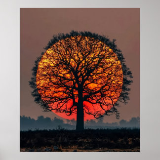 Poster Arbre solitaire au coucher du soleil