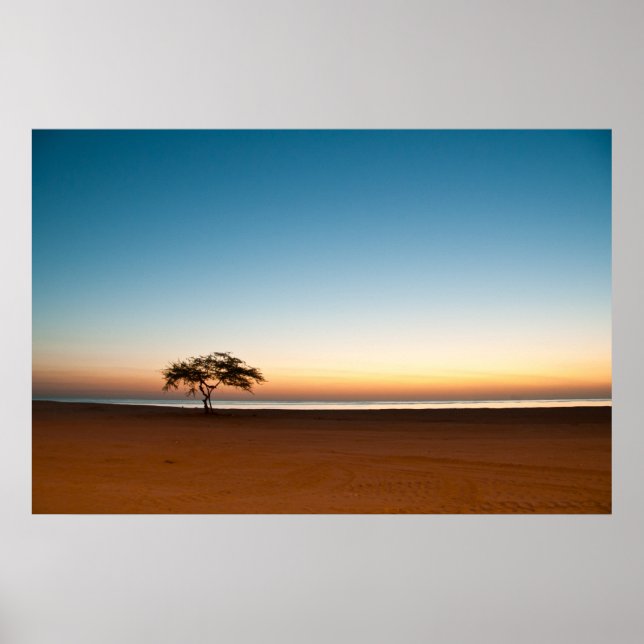 Poster Arbre solitaire au lever du soleil au Koweït (Devant)