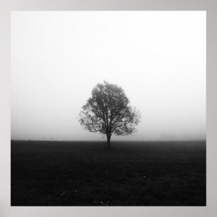 Poster Arbre solitaire dans le brouillard noir et blanc