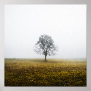 Poster Arbre solitaire dans un matin d'automne brumeux