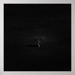 Poster Arbre solitaire minimaliste en noir et blanc