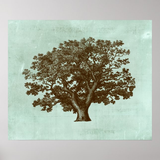 Poster Arbre spa IV (Devant)