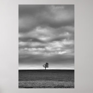 Poster Arbre Sur La Colline