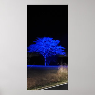Poster Arbre teint bleu