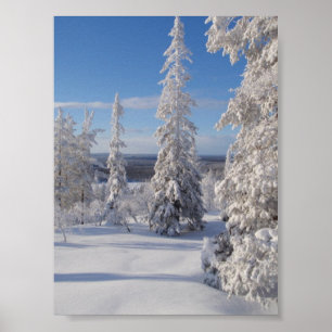 Poster Arbres 1 de montagne