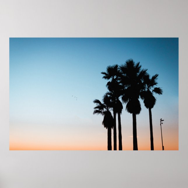 Poster Arbres à l'heure d'or (Devant)