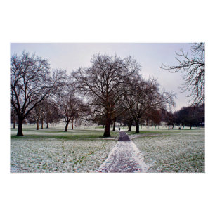 Poster Arbres à Primrose Hill Camden Londres