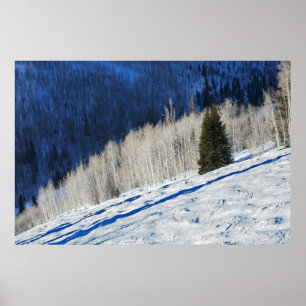 Poster Arbres argentés