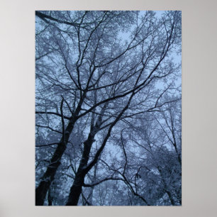 Poster Arbres couverts de neige