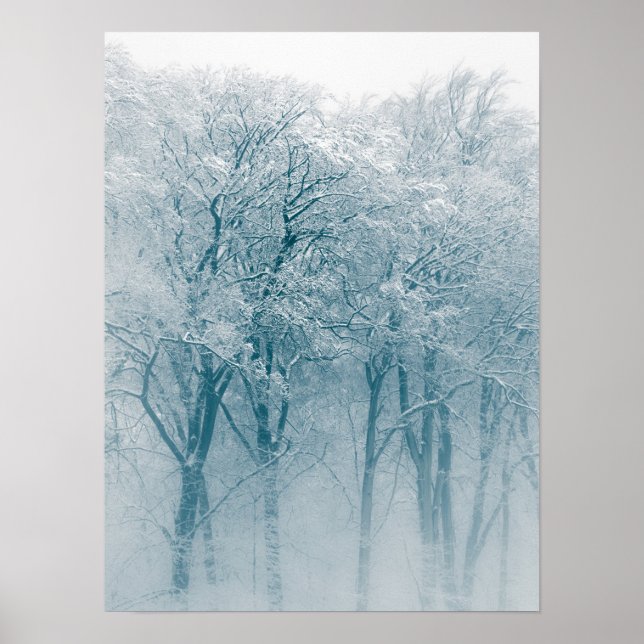 Poster Arbres couverts de neige Photo hiver (Devant)