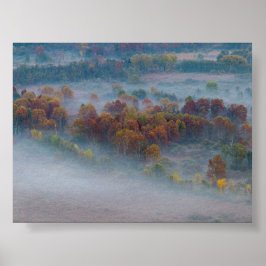 Poster Arbres dans la brume du matin