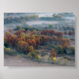 Poster Arbres dans la brume matinale