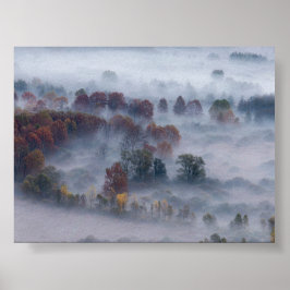 Poster Arbres dans la brume matinale