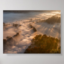 Poster Arbres dans la brume matinale