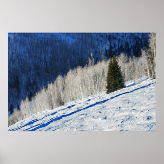 Poster Arbres d'argent