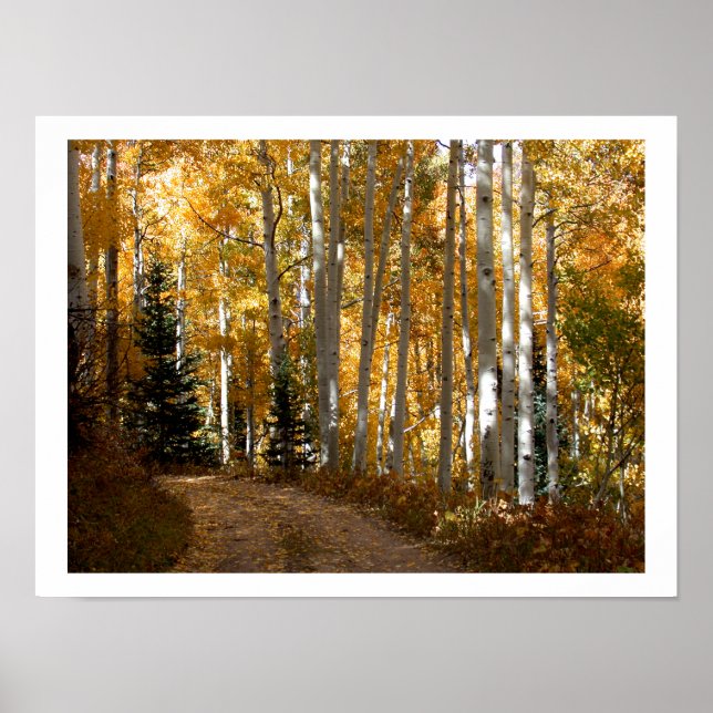Poster Arbres d'Aspen (Devant)