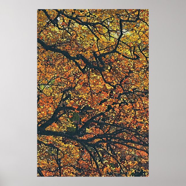 POSTER ARBRES D'AUTOMNE (Devant)