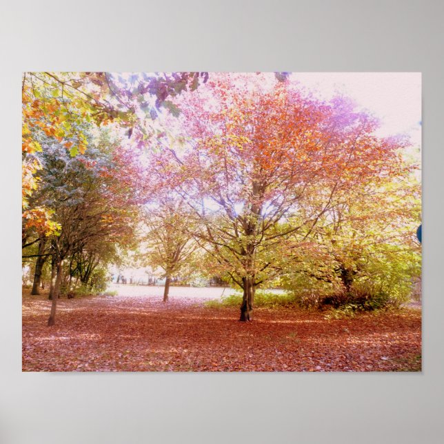 Poster Arbres d'automne (Devant)