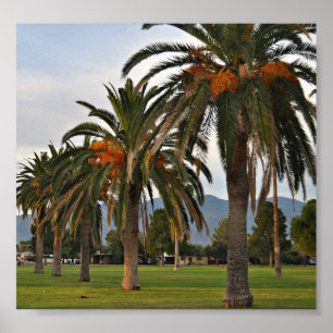 Poster Arbres de datation délicieux