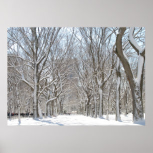 Poster Arbres de Milou dans le Central Park