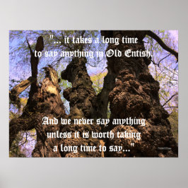 Poster - Arbres de sagesse avec Citation finale