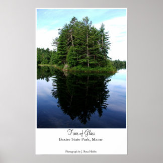 Poster Arbres de verre