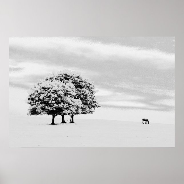 Poster arbres et chevaux (Devant)