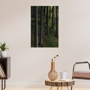 Poster Arbres et mousse verte