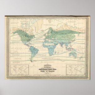 Poster Arbres forestiers, plantes utiles, et minerais