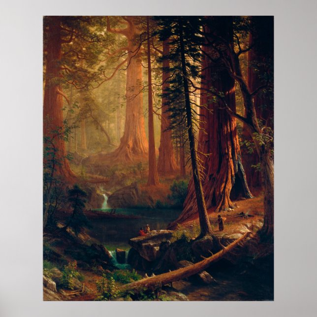Poster Arbres géants de séquoias de Californie par A. Bie (Devant)