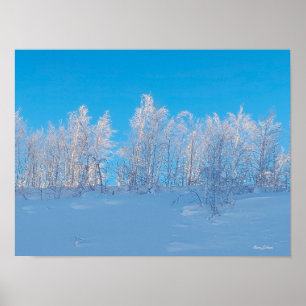 Poster Arbres givrés