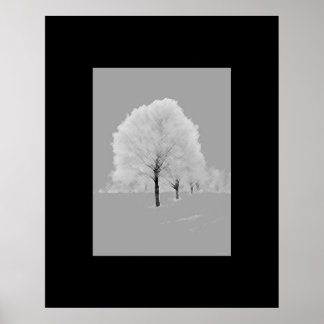 Poster Arbres - mat, noir & blanc peint art