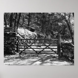 POSTER ARBRES NOIRS ET BLANCS ET PAYSAGE DE PORTE