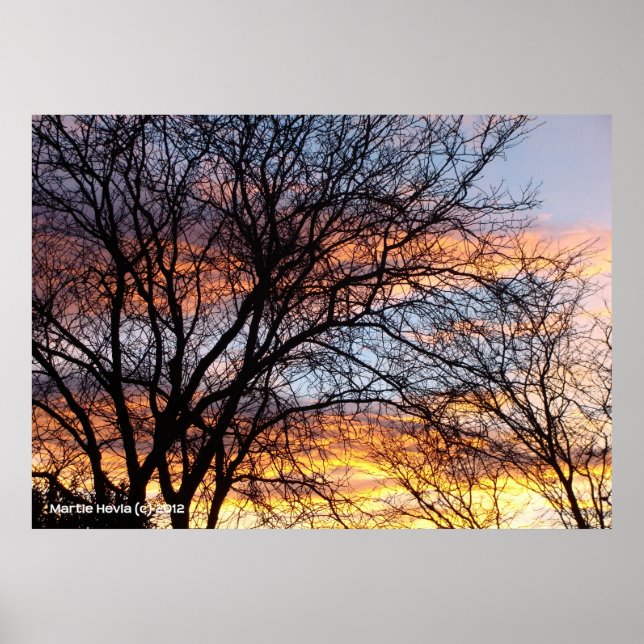 Poster Arbres nus au coucher du soleil (Devant)