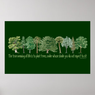 Poster Arbres plantes