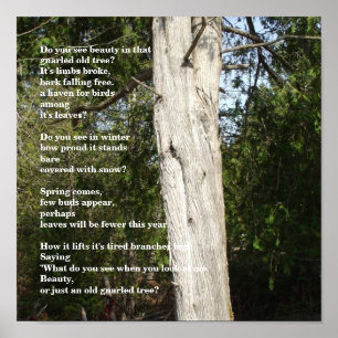 Poster Arbres pour la journée de l'arbre