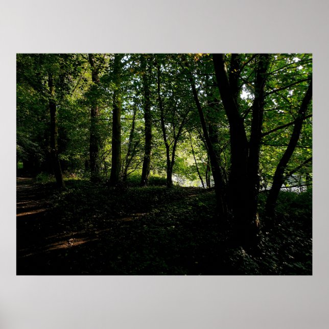 Poster Arbres près de la rivière (Devant)