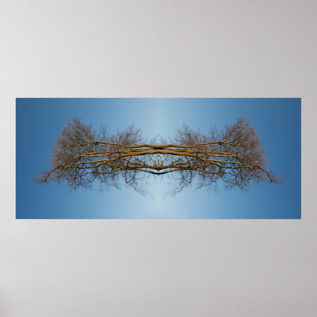 Poster Arbres reflétés (Devant)