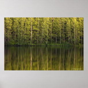 Poster Arbres Reflétés Dans L'Eau