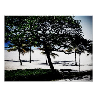 Poster Arbres sur la plage, Santos, Brésil
