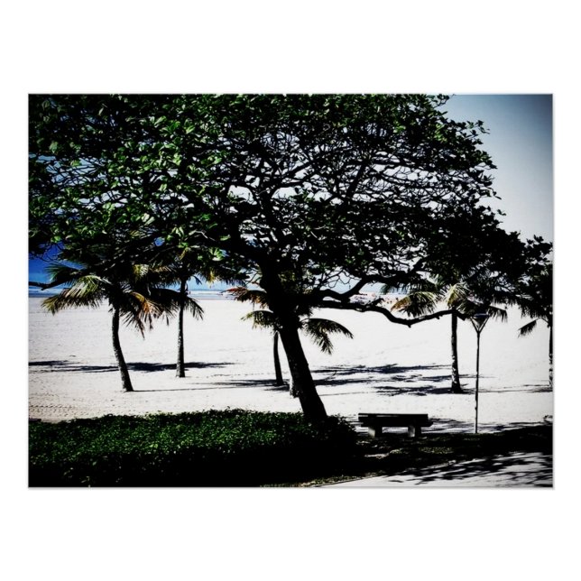 Poster Arbres sur la plage, Santos, Brésil (Devant)