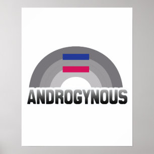 POSTER ARC-EN-CIEL ANDROGYNE