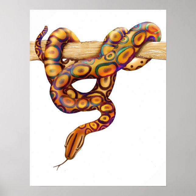 Poster Arc-en-ciel Boa Snake Print (Devant)