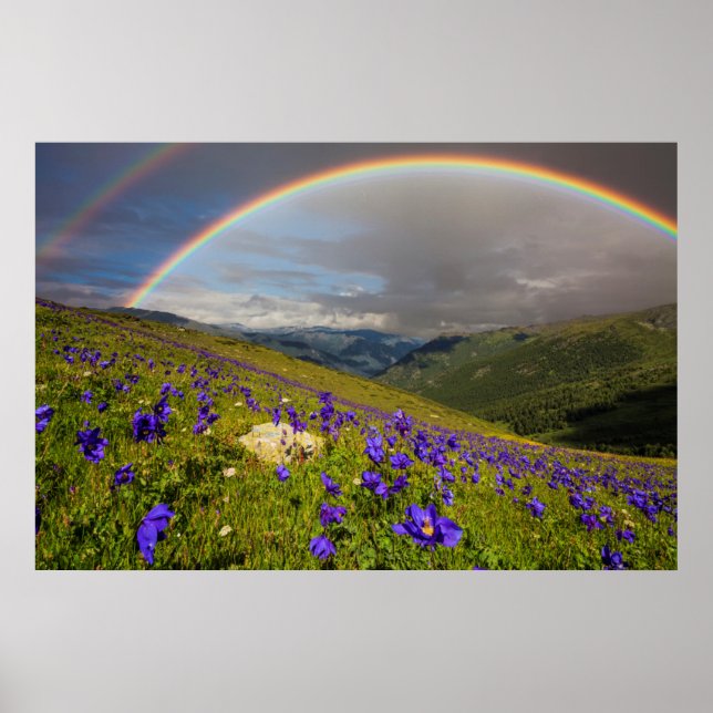 Poster Arc En Ciel Sur Un pré Fleuri (Devant)