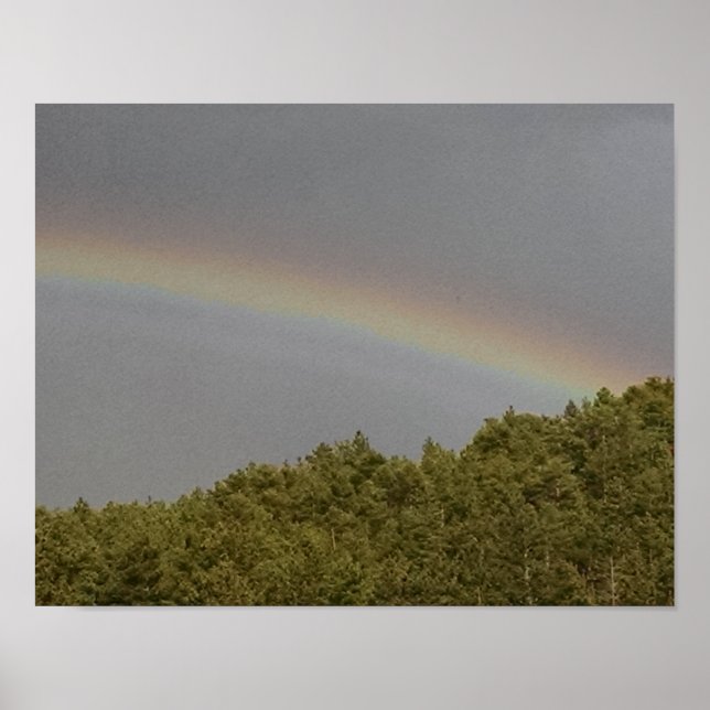 Poster Arc-en-ciel surnuméraire, au-dessus de la forêt à  (Devant)