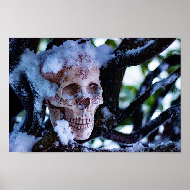 Poster Arcane Hiver I (Devant)