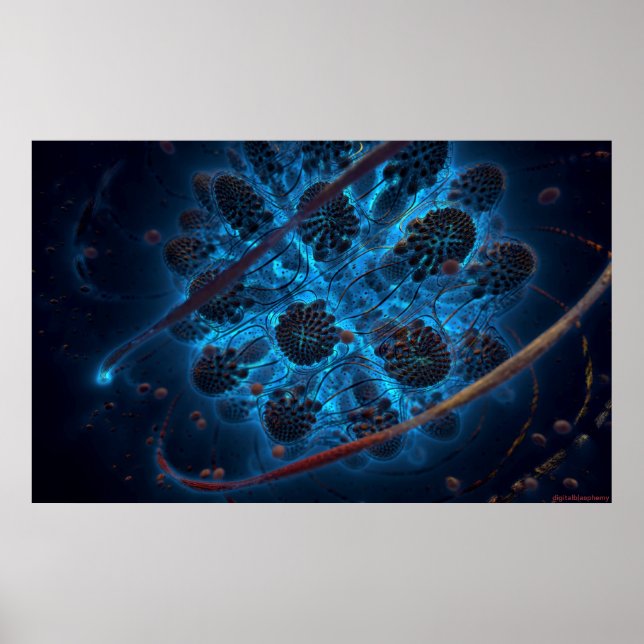 Poster Archaea (Devant)