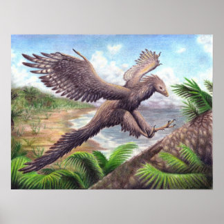Poster Archaeopteryx Imprimer
