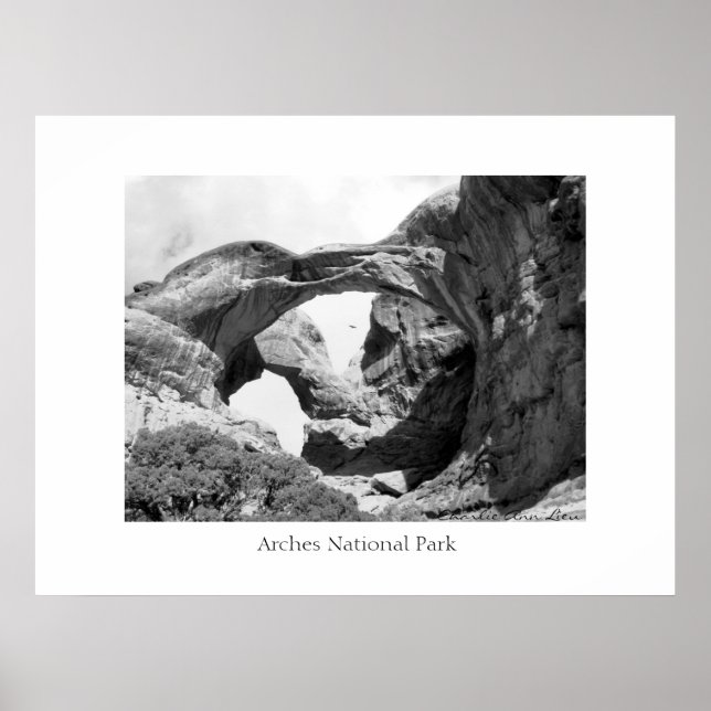 Poster Arche double (Devant)