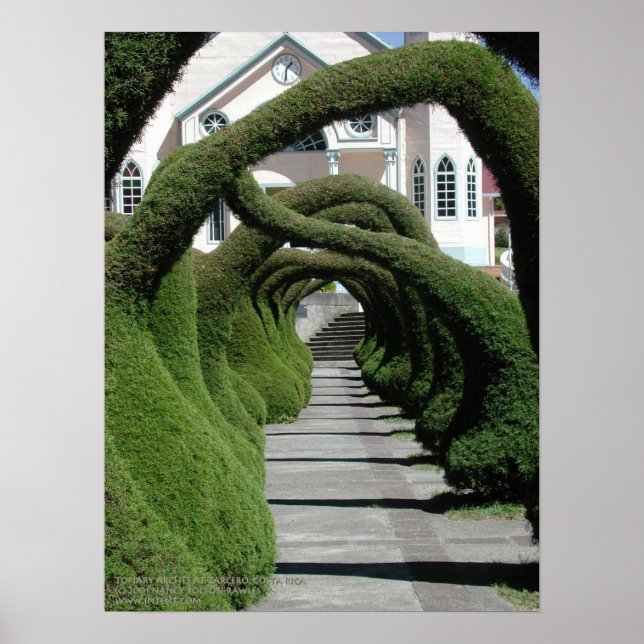 Poster Arches de Topiary à Zarcero, Costa Rica (Devant)